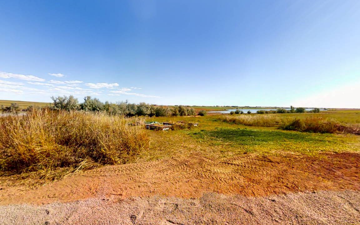 Photo of Others in Fort Collins