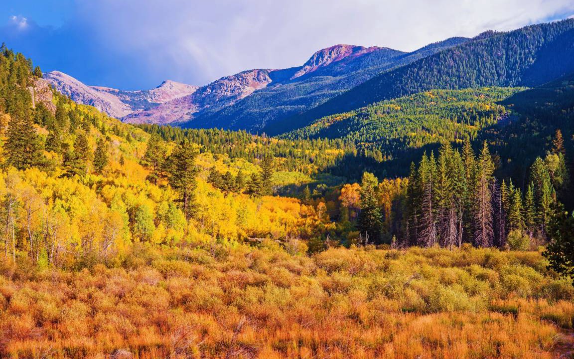 Photo of Others in Intermountain