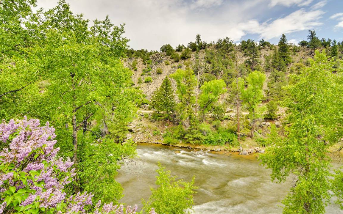 Photo of Others in Buena Vista