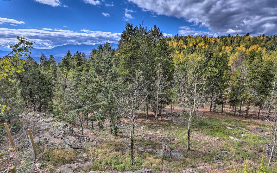 Photo of Others in Conifer Mountain and Meadows