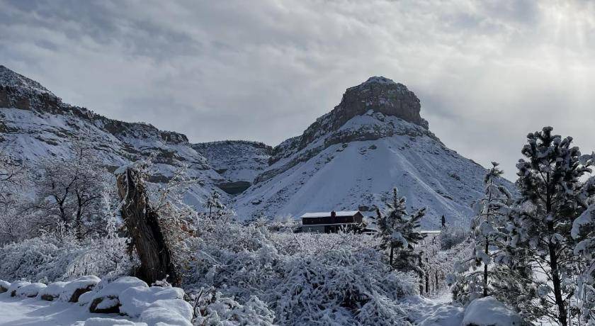 Photo of Others in Palisade