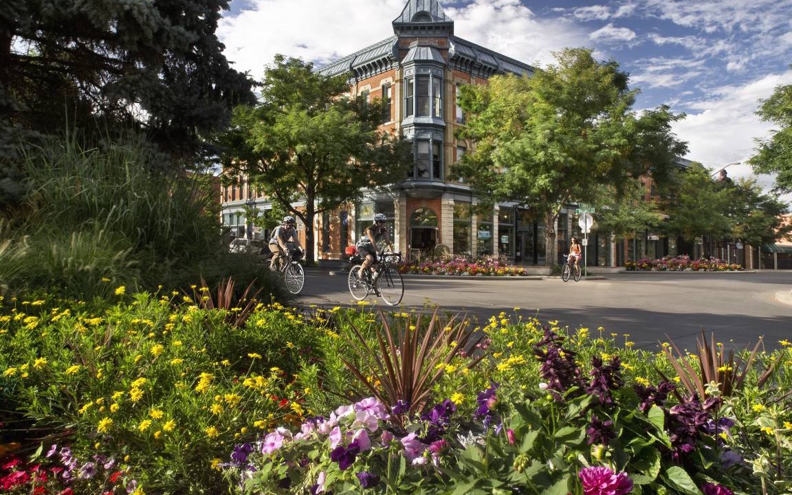 Photo of Others in Old Town West