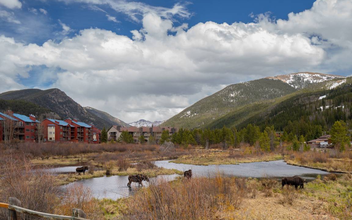 Photo of Others in Mountain House