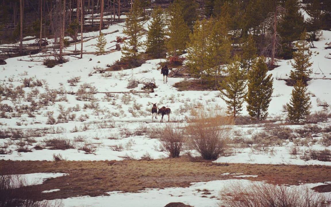 Photo of Others in Summit Cove