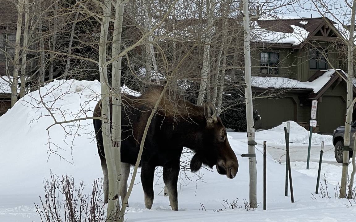 Photo of Others in The Highlands