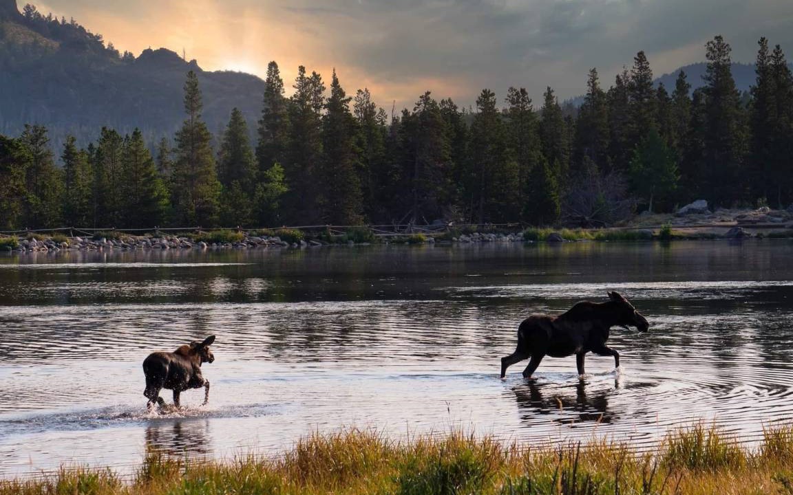 Photo of Others in Estes Park