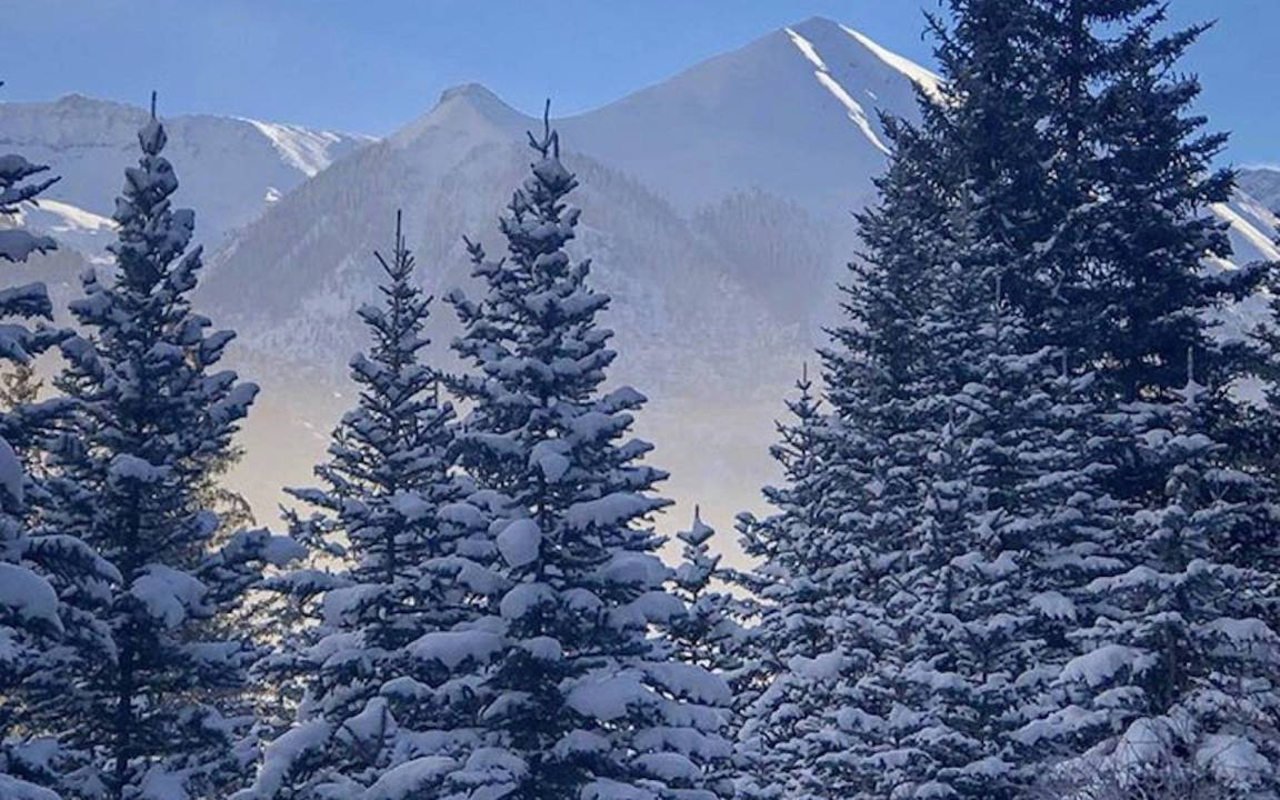 Photo of Others in Telluride