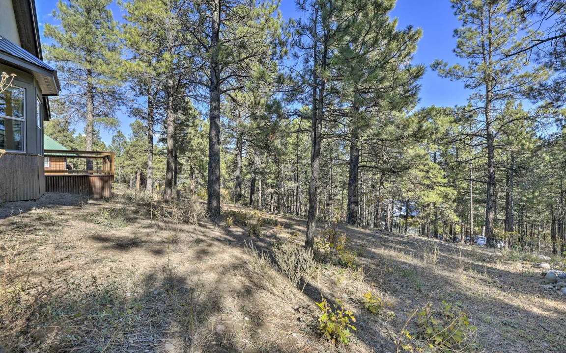 Photo of Others in Pagosa Springs