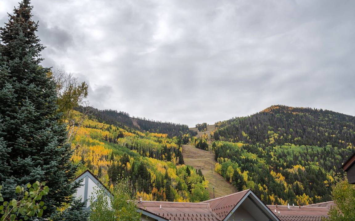Photo of Others in Telluride