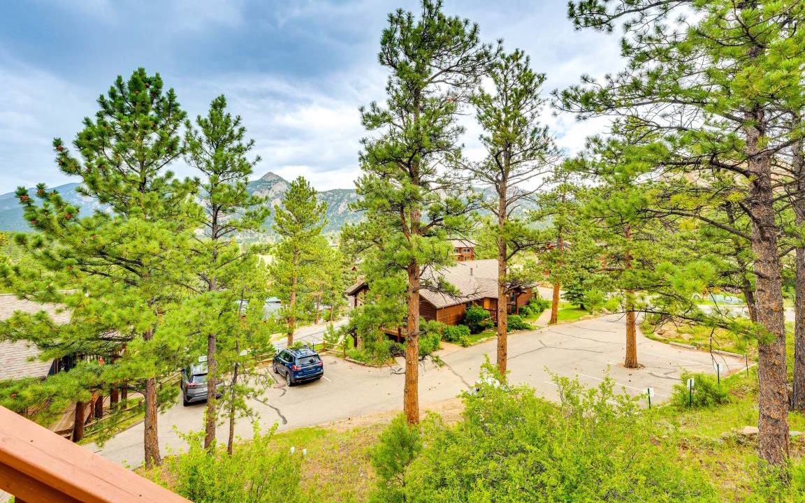 Photo of Others in Estes Park