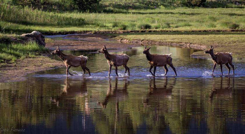 Photo of Others in Carriage Hills