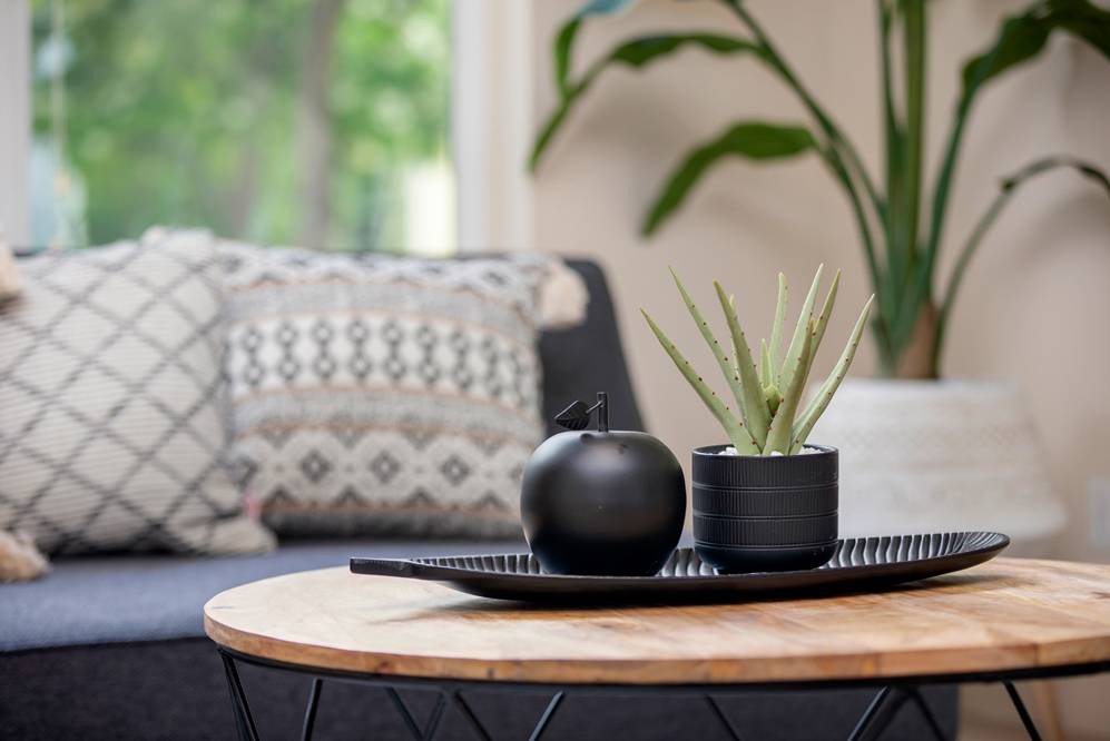 Photo of Livingroom in Old Town North