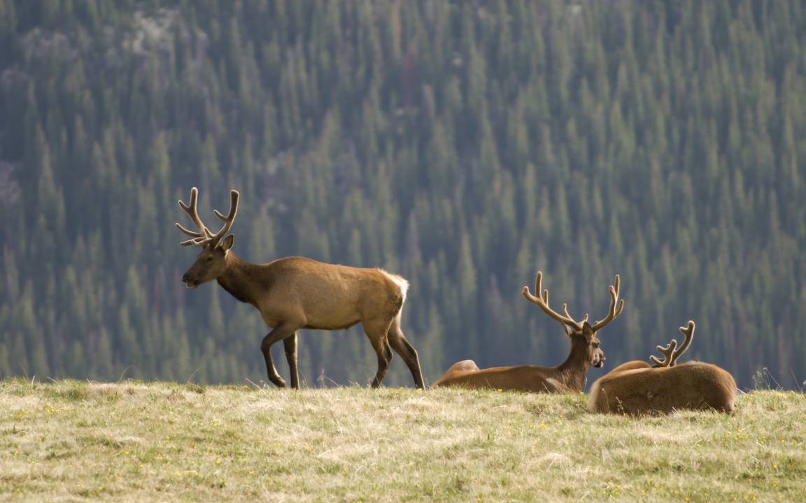 Photo of Others in Winter Park