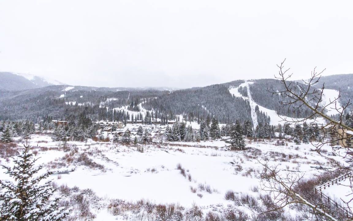Photo of Others in Mountain House