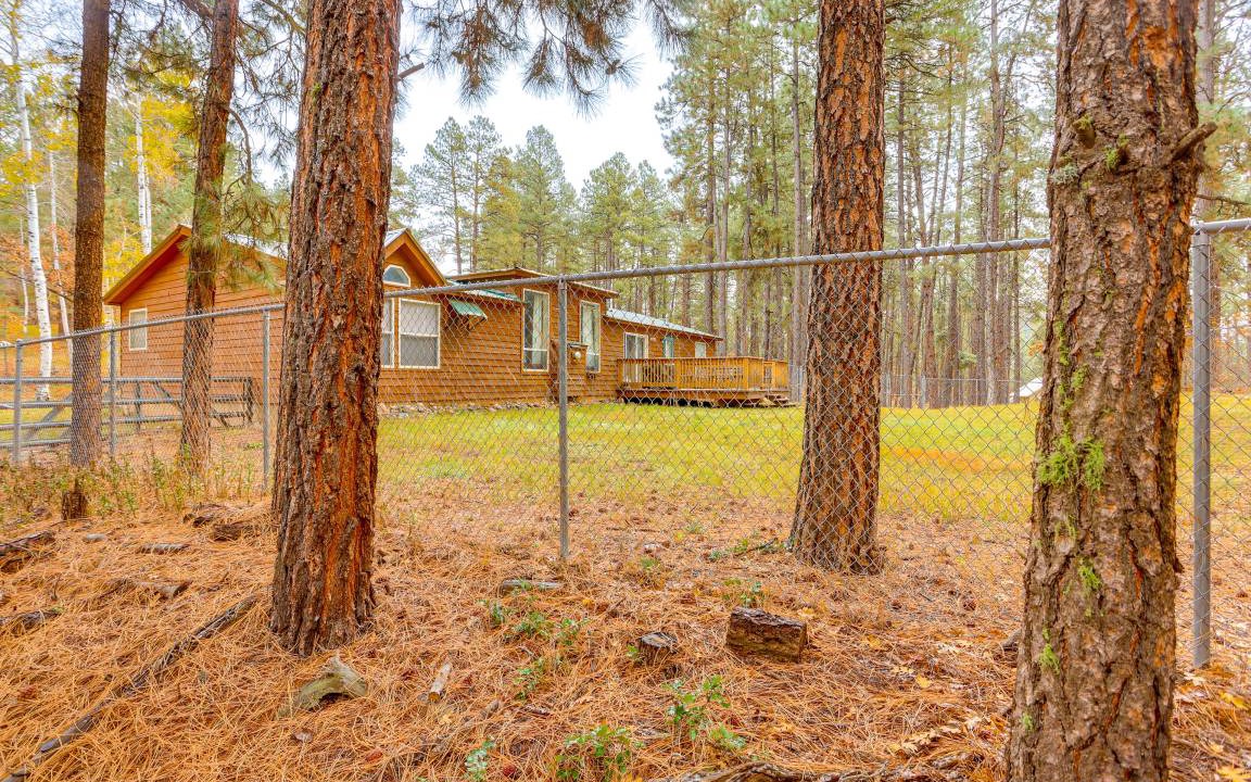 Photo of Others in Forest Lakes