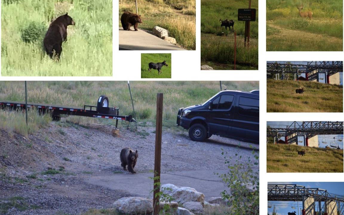 Photo of Others in Steamboat Springs