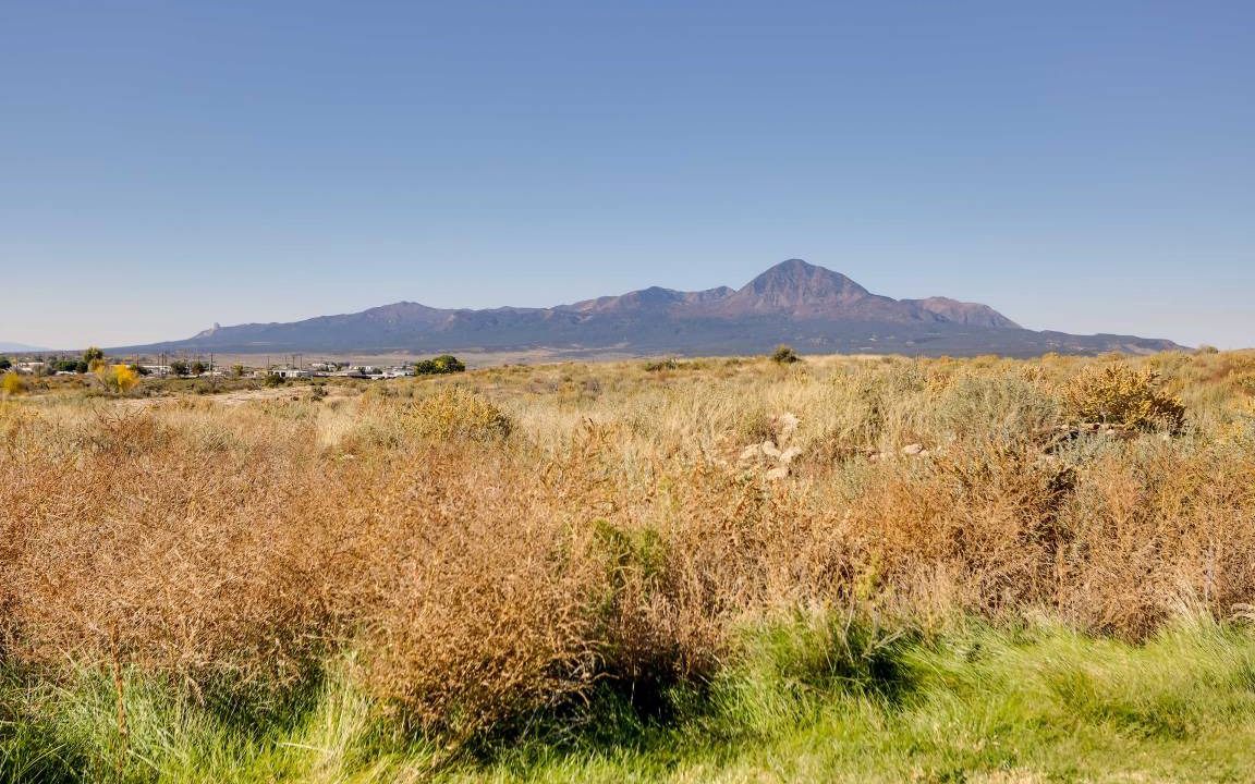 Photo of Others in Cortez