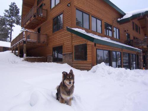 Photo of Others in Pagosa Springs