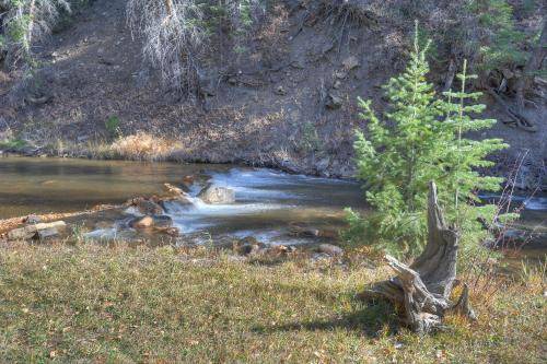 Photo of Others in Durango - Purgatory