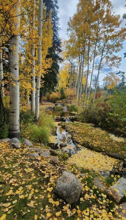 Photo of Others in Vail