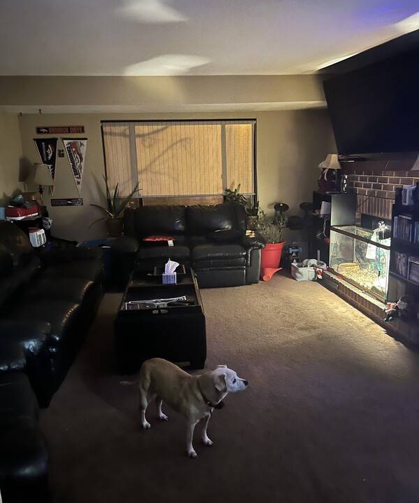 Photo of Livingroom in Lakewood