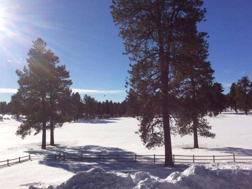 Photo of Others in Pagosa Springs