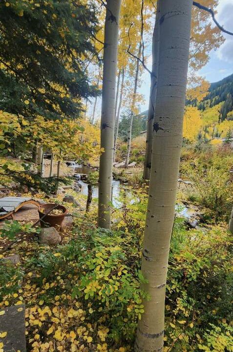 Photo of Others in Vail
