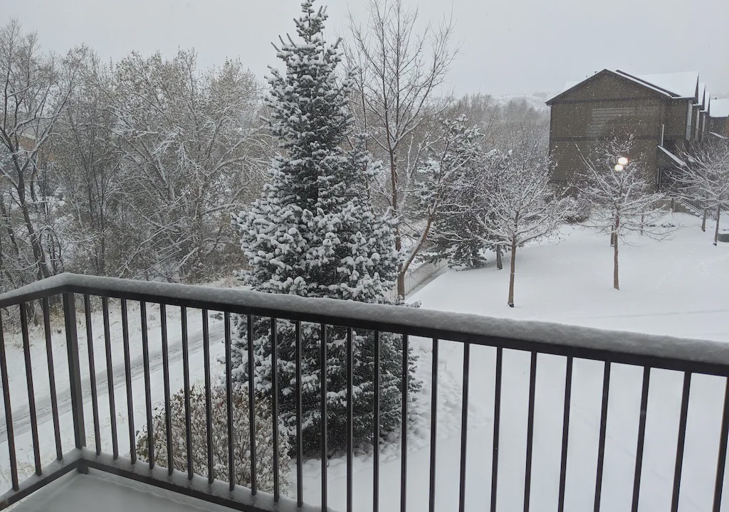 Photo of Others in West Colorado Springs