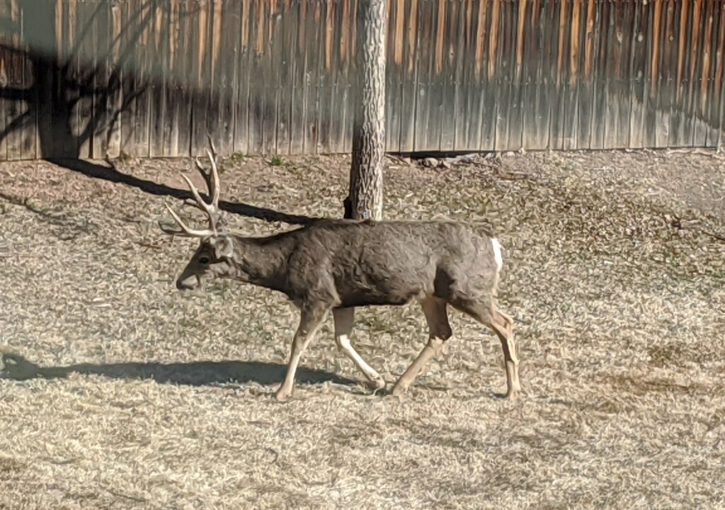 Photo of Others in West Colorado Springs