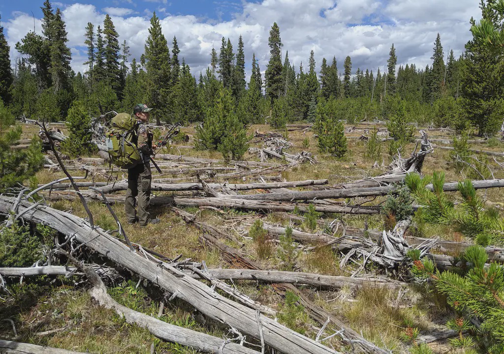 Photo of Others in West Colorado Springs