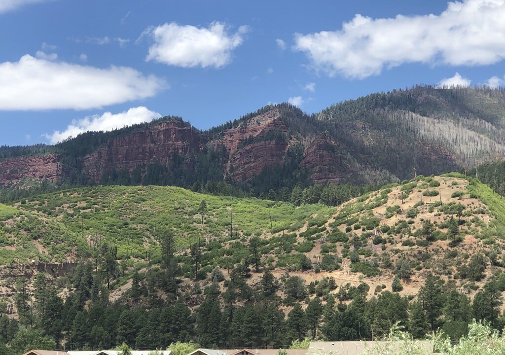 Photo of Others in Dalton Ranch