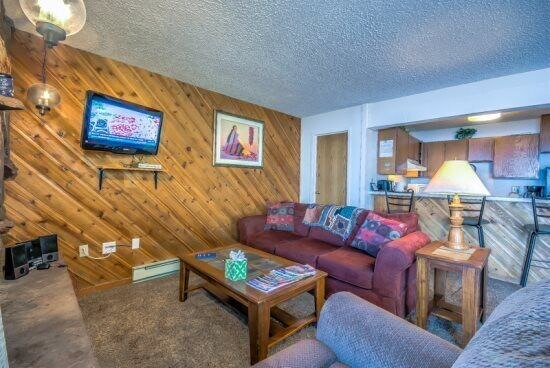 Photo of Livingroom in Steamboat Springs