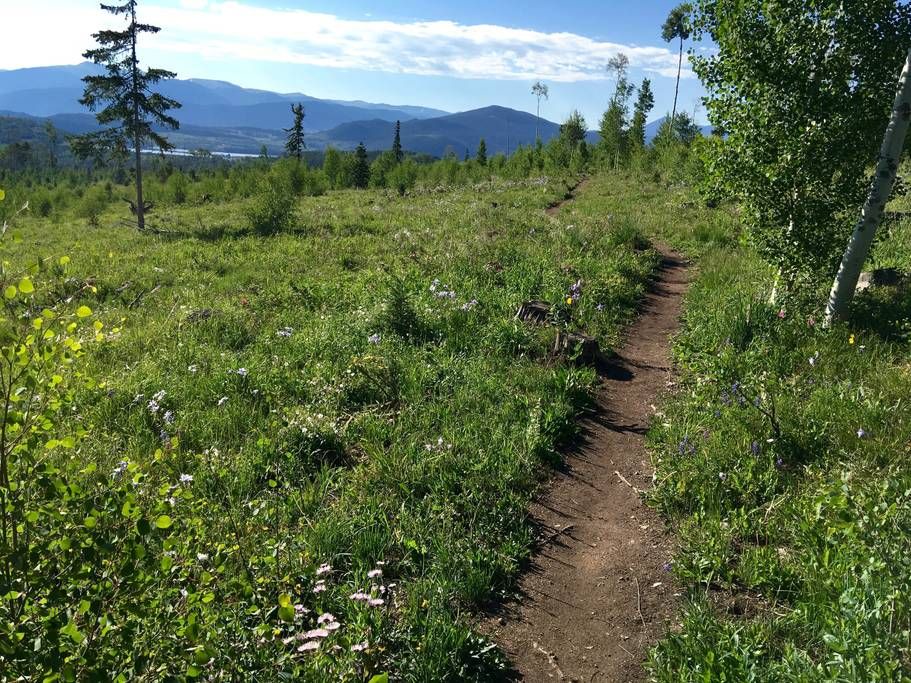 Photo of Outdoor in Wildernest