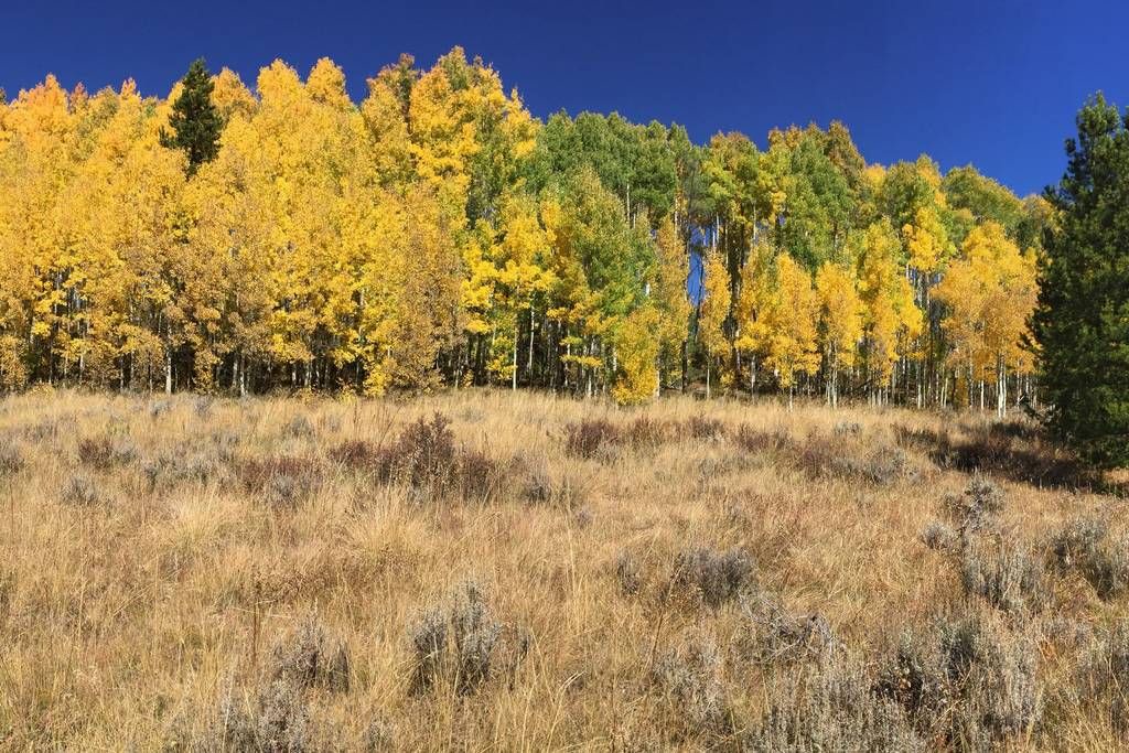 Photo of Outdoor in Wildernest