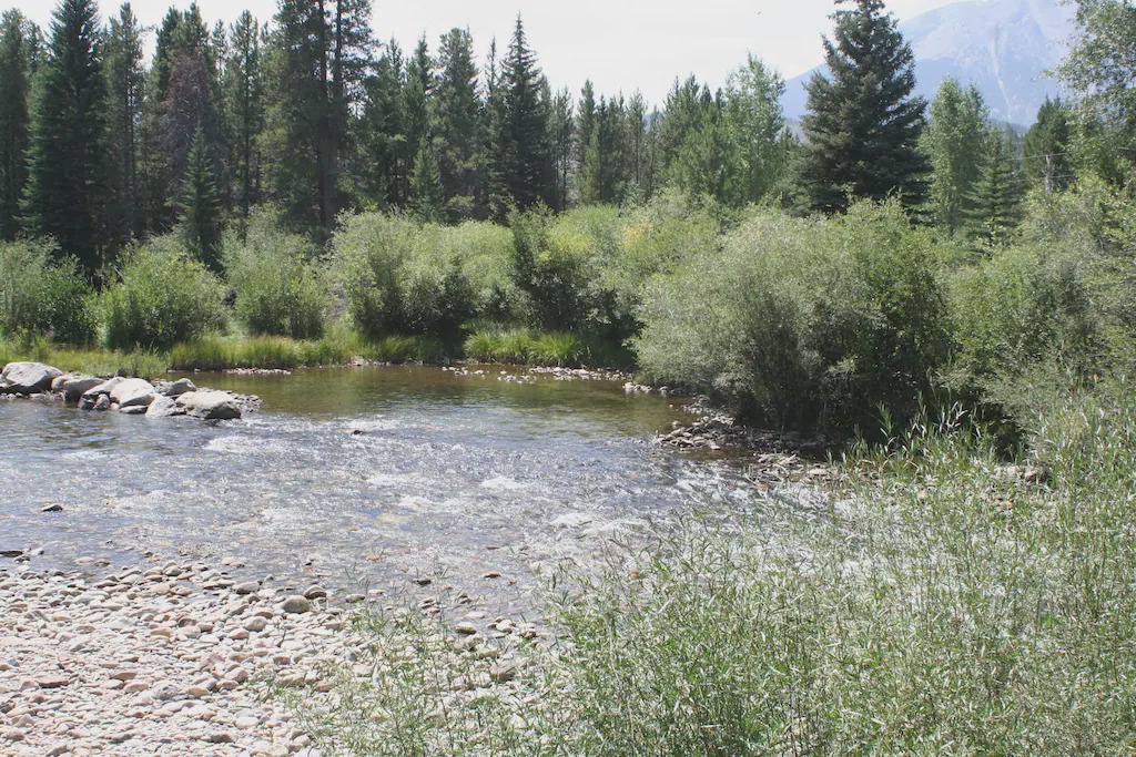 Photo of Others in Hamilton Creek