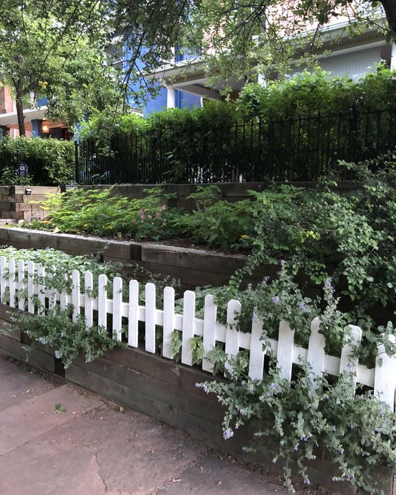 Photo of Buildings in Capitol Hill