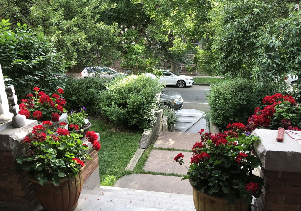 Photo of Others in Capitol Hill