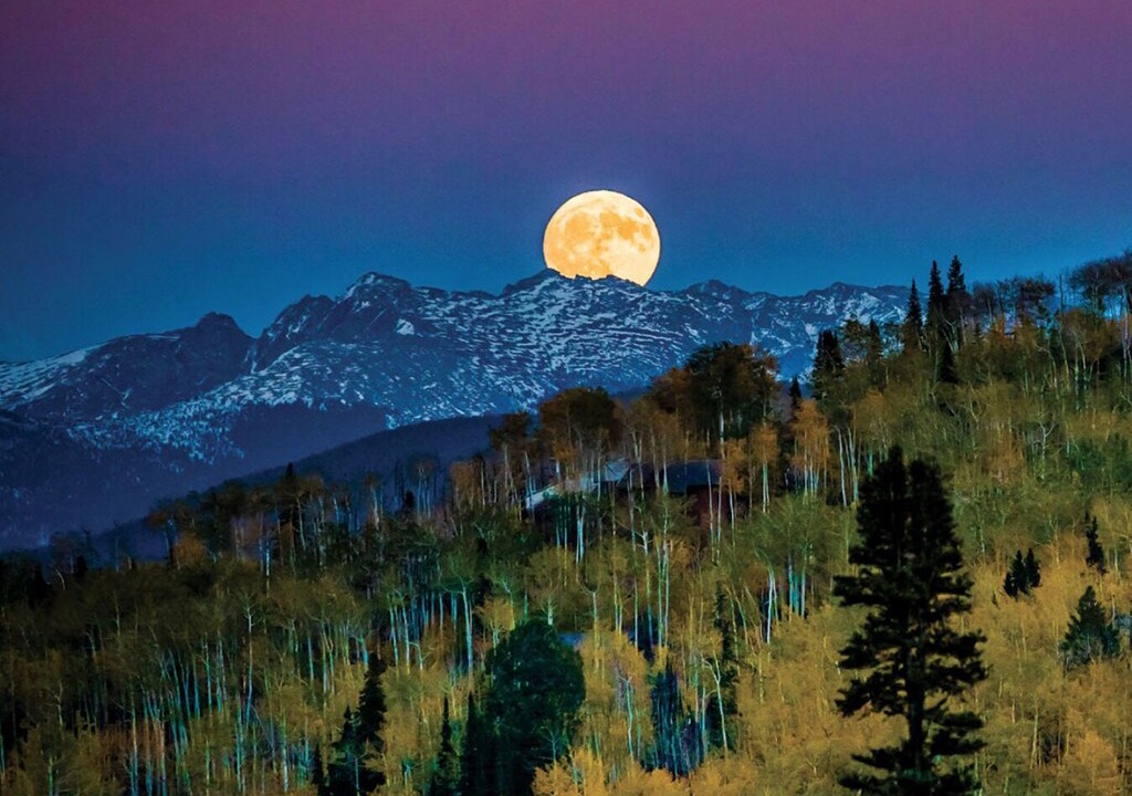 Photo of Others in Red Mountain
