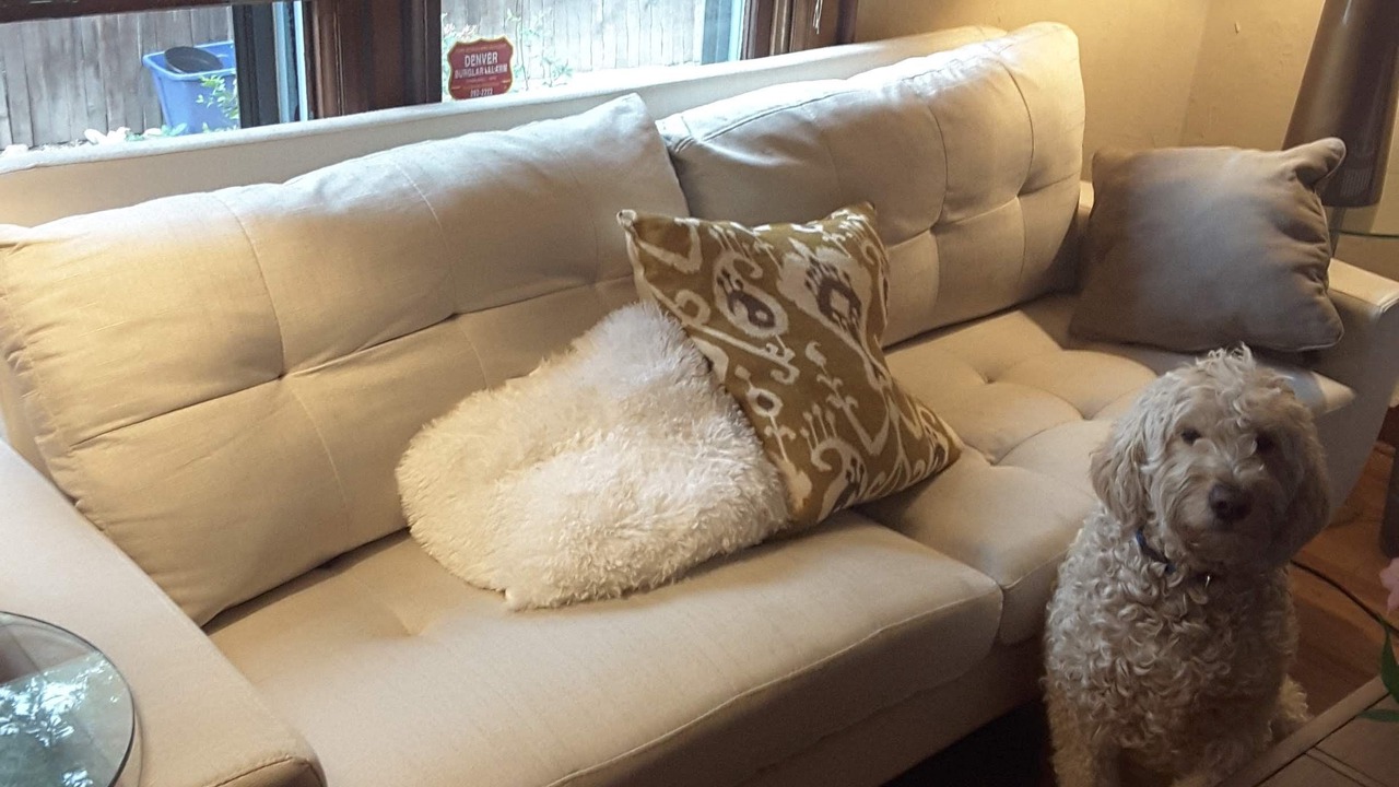 Photo of Livingroom in Speer
