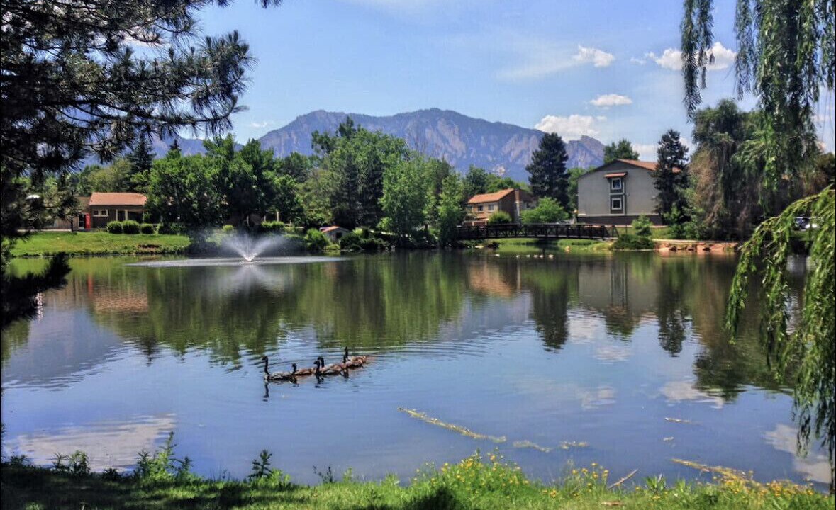 Photo of Outdoor in Martin Acres