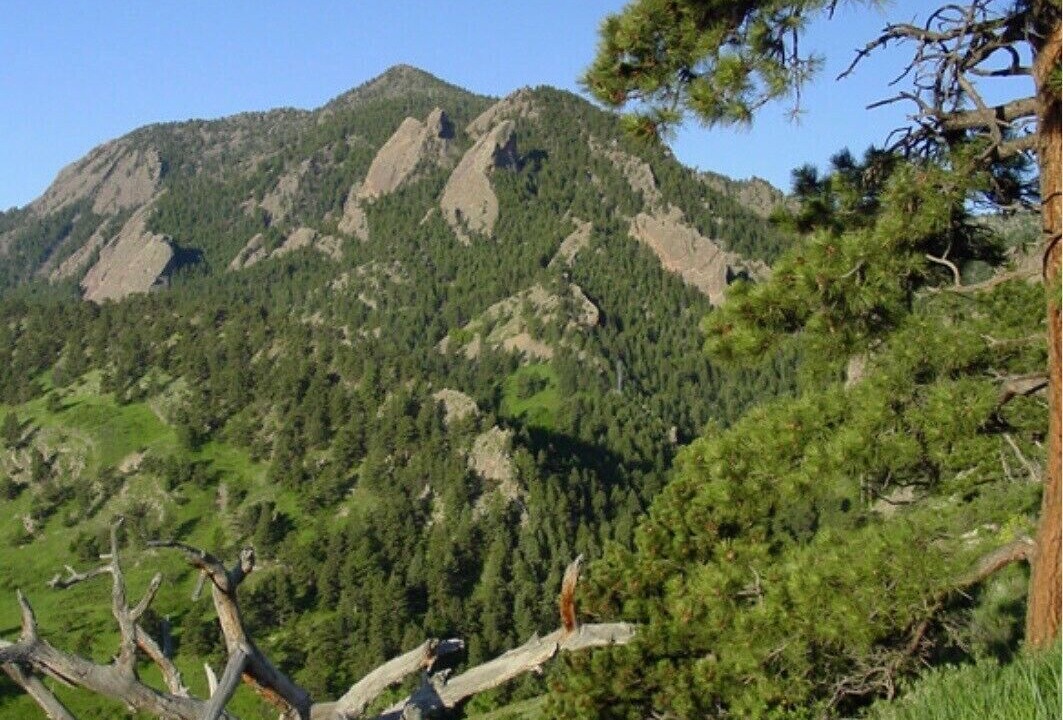 Photo of Others in Martin Acres