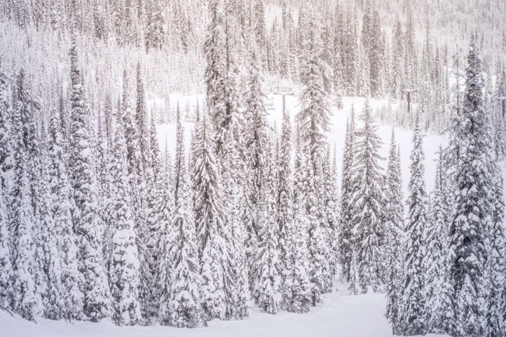 Photo of Others in Aspen