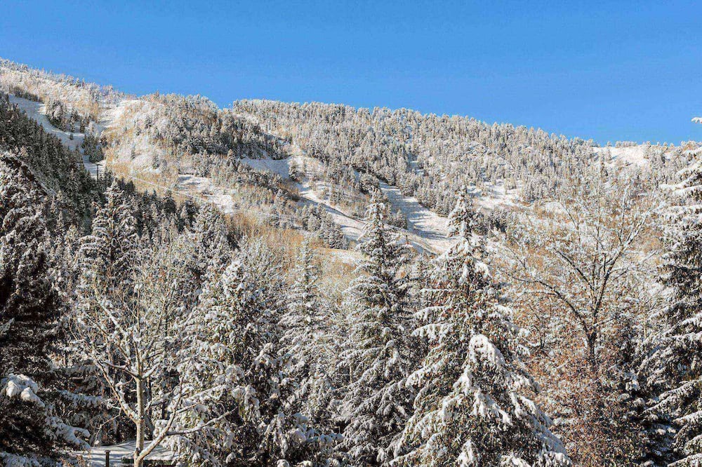 Photo of Others in Aspen