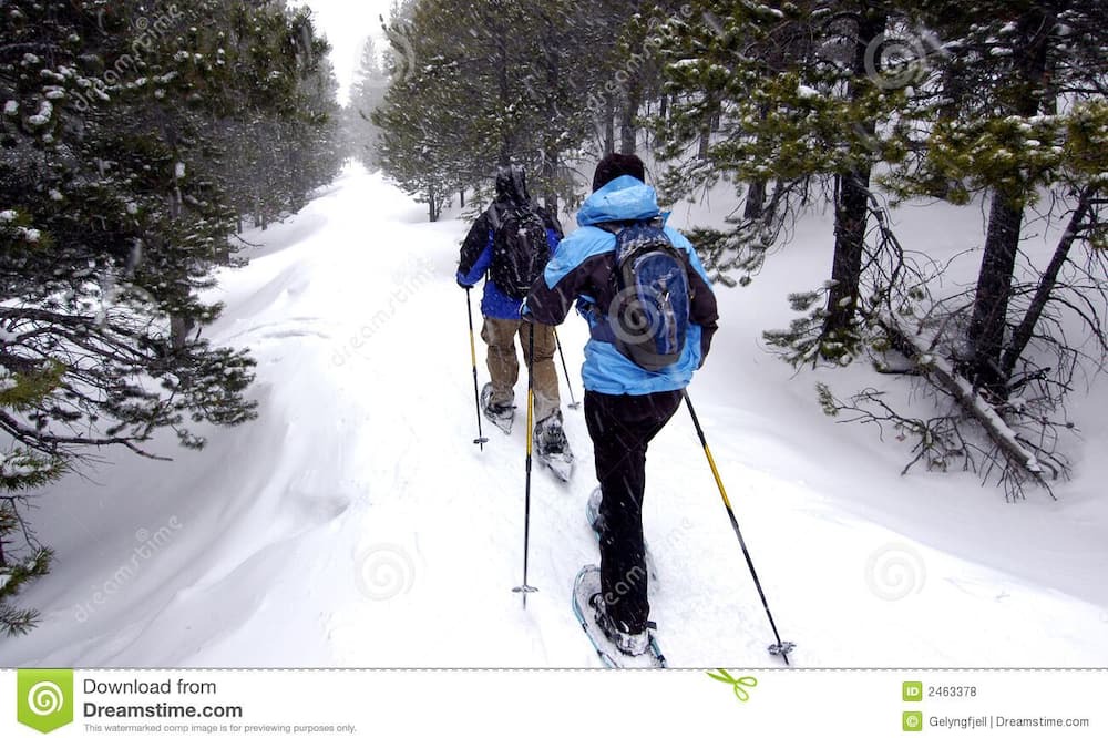 Photo of Others in Placerville