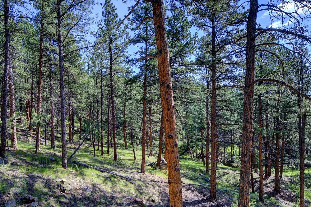 Photo of Others in Evergreen West Central