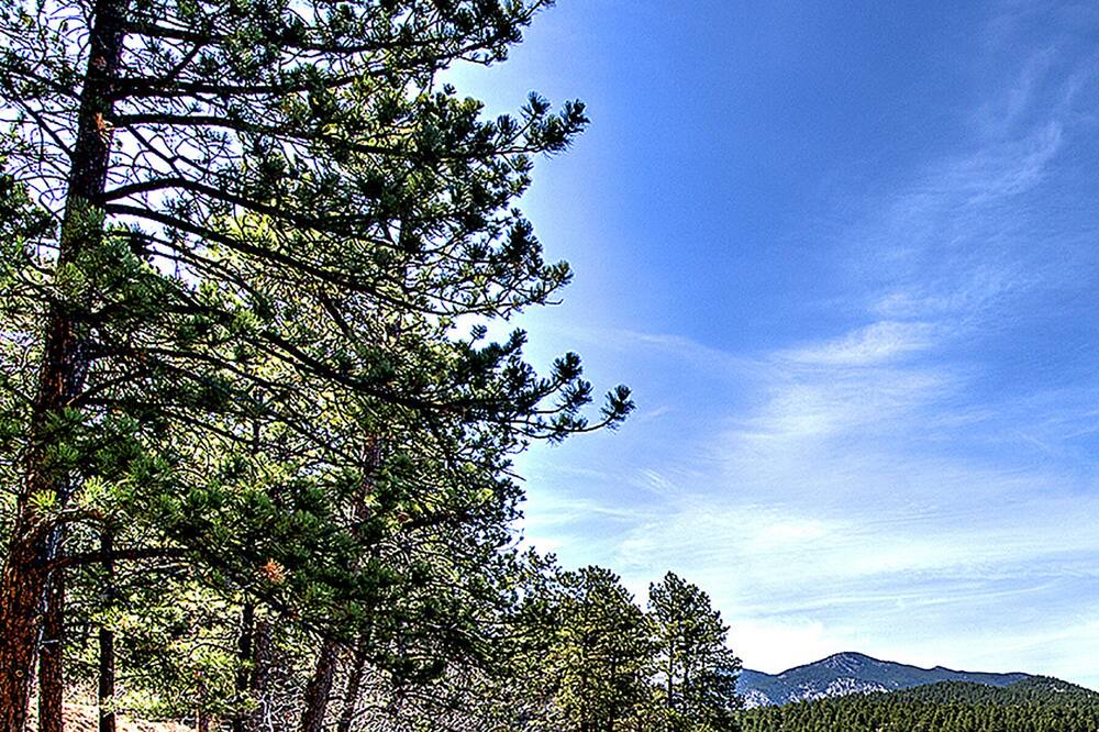 Photo of Others in Evergreen West Central