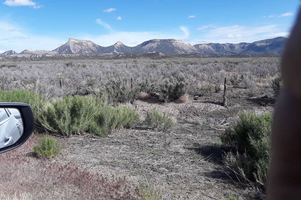 Photo of Others in Cortez
