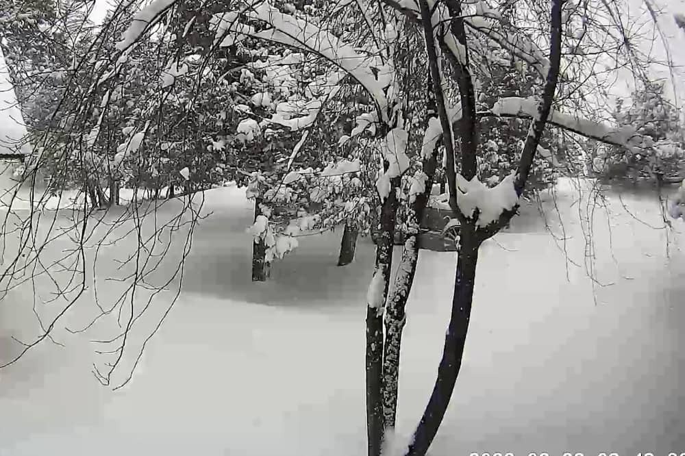 Photo of Others in Ridgway