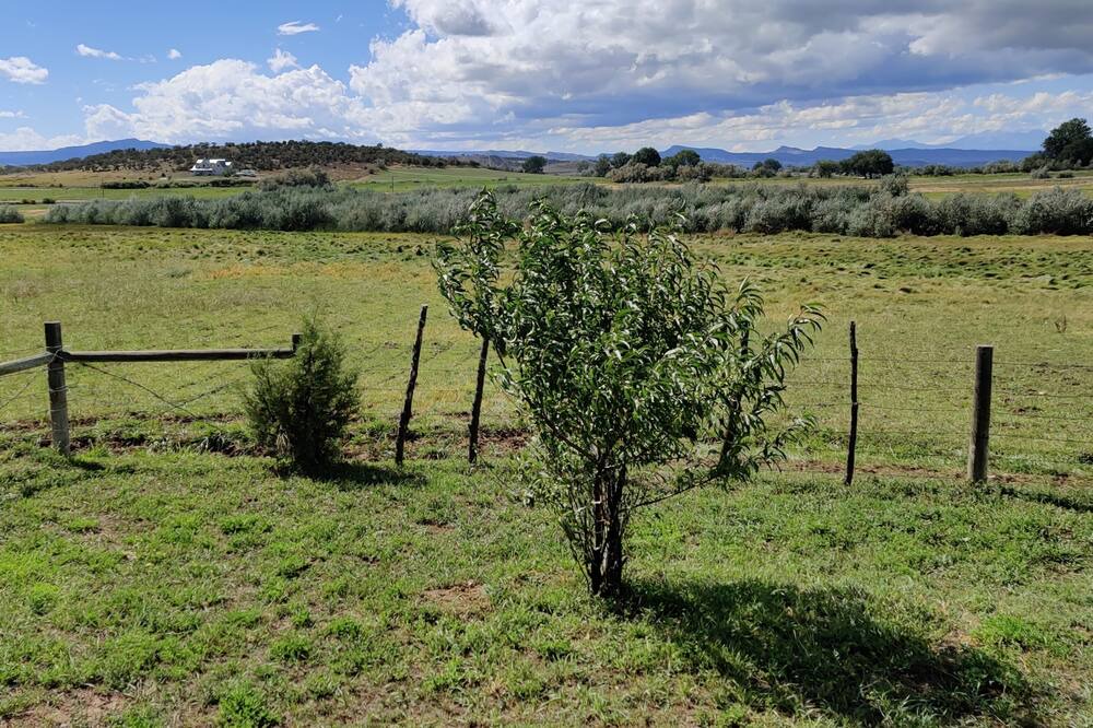 Photo of Outdoor in Nucla