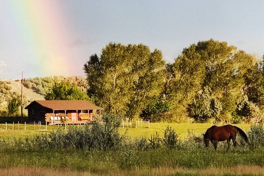 Photo of Outdoor in Nucla